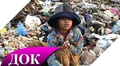 Цікаві факти про забруднення навколишнього середовища