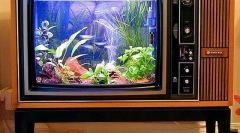 Акваріум мистецтва