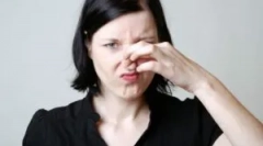 Позбавлення від запаху миші в будинку