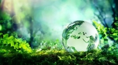 Екосистема: компоненти, структура, енергетичні ланцюги