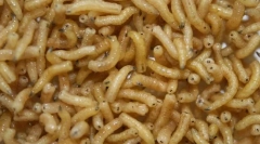 Як м'ясо личинки лікують поранені?