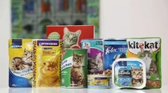 Як перекласти кішку на суху їжу з іншими видами їжі