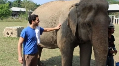 Як приборкати азіатський слон