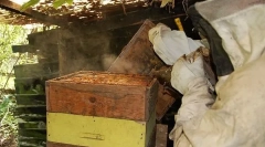 Як розташований вулик?