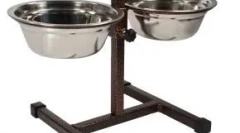 Як поводитися з собакою, яка взяла з притулку