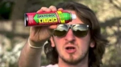 Як принести домашні блохи в квартиру