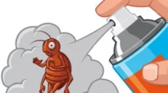 Як принести земляні блохи з дому?