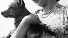 Яка порода собаки в англійській королеві