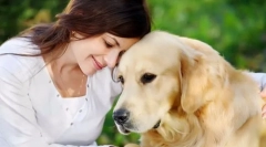 Які породи собак будуть відповідати різним знакам зодіаку