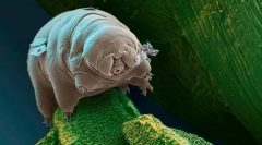 Що є найменшим?