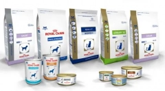 Який корм краще: пропис або королівський канін?