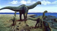 Камаразавр