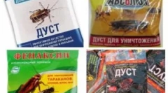 Китайські інструменти з тарганів