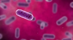 Клітка - генетична одиниця життя