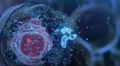 Клітина - основа життя