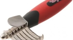 Chatnorez: assistant cat