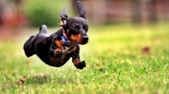 Команда мені!