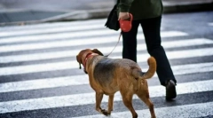 Команда поблизу!