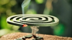 Комарі на садовій ділянці та в саду