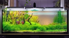 Компресор для акваріума з вашими руками: інструкції з покрокового виробництва