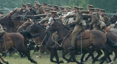 Коні бойові