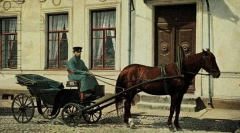 Коні поштові