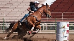 Кінний спорт