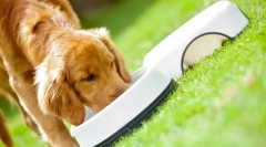 Purina pro plan feed feed: premium class ready