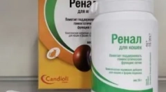 Кормована добавка ниркова едванд: ефективна допомога в нирковій недостатності в кішках