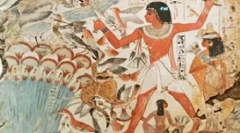 Кішки у фарбуванні