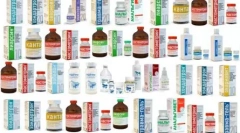 Обкладинки для кішок: рекомендації щодо заявки