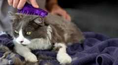 Шкіряні кубики