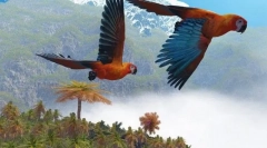 Кубинський ара