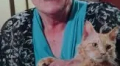 La pomm: особливості кучерявих кішок