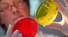 Лікування ентеробіозу у дітей та дорослих