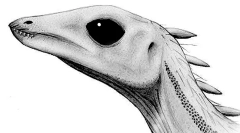 Лесотолярський