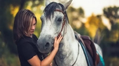 Коні для відпочинку