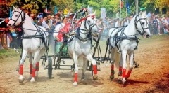 Канікули в різних країнах