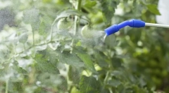 Найпопулярніші інструменти з tlima на заводах