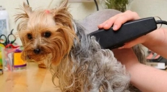 Машинки для стрижки