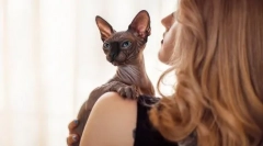 Милашка або солона: як поява кішки, щоб визначити характер