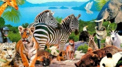 Ссавці євразія