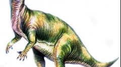 Муттабуразавр