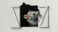 Миші в стінах дерев'яного та косою будинку