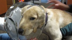 Найчастіші аварії