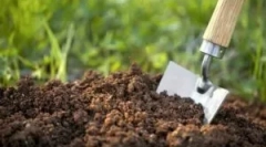 Комахи шкідники живуть у землі