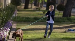 Тягнуть і повідку ривок