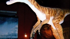 Неіндуктор