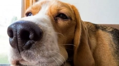 Неврологічні захворювання