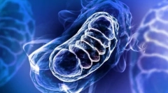 Обмін речовин